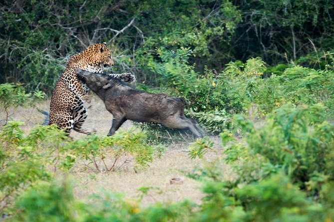 8 Days Classic Tour Sri Lanka - Local Cuisine and Dining