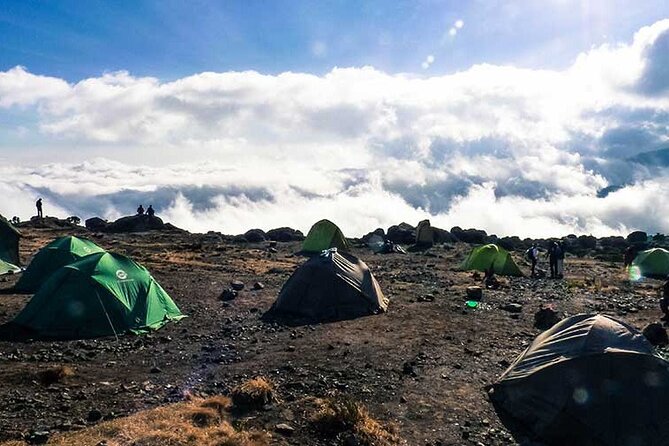 8 Days Climb Mt Kilimanjaro Through Lemosho Route - Good To Know