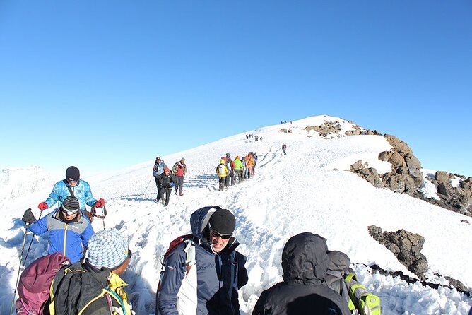 8 Days Climb Mt Kilimanjaro Through Lemosho Route - Day 6: Barranco Camp to Karanga Camp