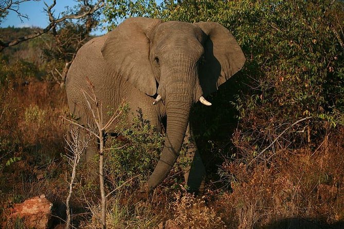 8 Days Combination Tour Zanzibar Beach & Safari Tarangire, Serengeti & Ngorongor - Activities Included