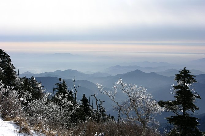 [8-days] Conquering the Korean Peninsula & Jirisan National Park Hiking - Day 1: Arrival in Seoul