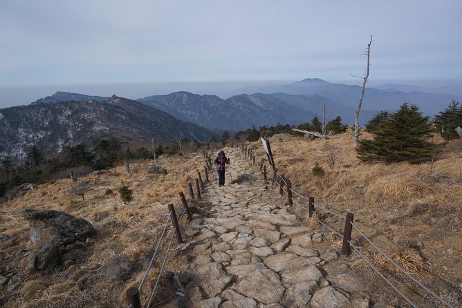 [8-days] Conquering the Korean Peninsula & Jirisan National Park Hiking - Day 7: Taking in Korean Cuisine and Traditions