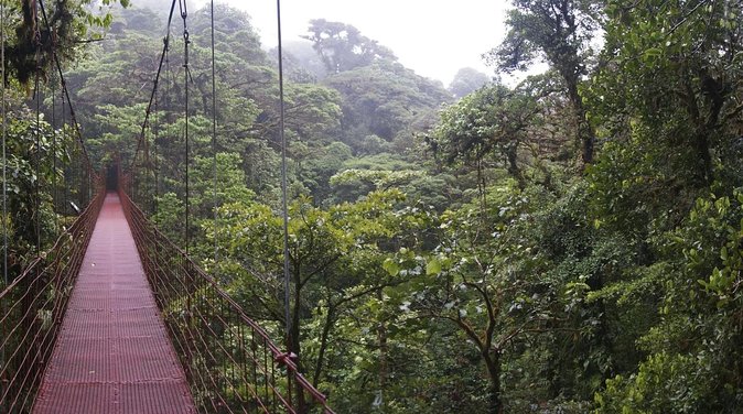 8-Days Costa Rica: Volcano, Tropical Jungles and Cloud Forests - Itinerary Overview