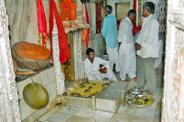 8 - Days Desert Tour of Jodhpur, Jaisalmer and Bikaner - Tour Highlights and Cultural Experience