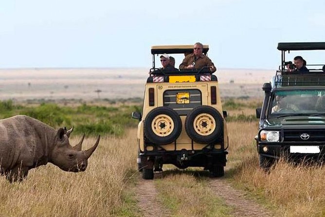8 Days Discover Kenya Safari With 4x4 Land Cruiser Jeep - Frequently Asked Questions