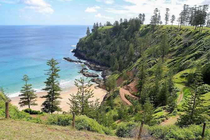 8 Days Drive / Stay / Tour in Norfolk Island - Practical Tips and Travel Essentials