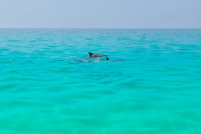 8 Days - Enchanting Socotra Escape - Additional Information