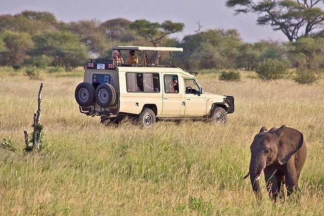 8 Days Fantastic Safari of Tanzania Midrange Tour - The Sum Up