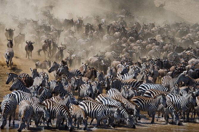 8 Days Follow the Wildebeest Migration River Crossing Safari - Frequently Asked Questions