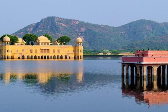 8 Days Golden Triangle Tour With Ranthambore Tiger Safari - Safari Experience