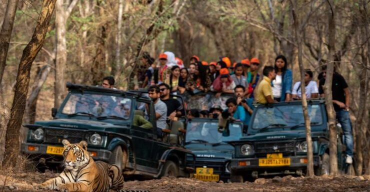 8 - Days Golden Triangle Tour With Ranthambore Tiger Safari - Detailed Itinerary