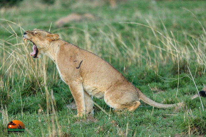 8 Days Gorillas, Primates & Wildlife Safari Uganda Safari - Cultural Immersion