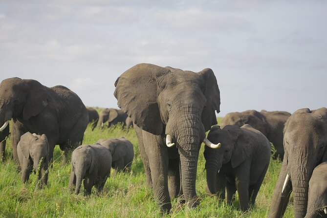 8 Days Green Season Offer - Luxury Serena Safari - Pricing Information