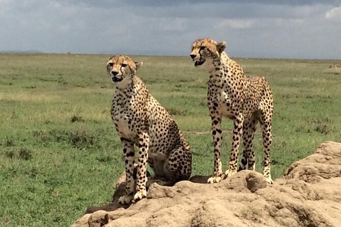 8 Days Green Season Offer - Luxury Serena Safari - Frequently Asked Questions