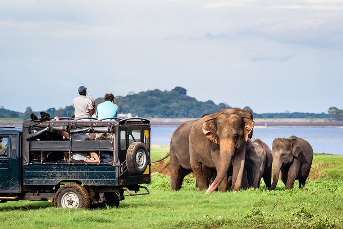 8 Days Guided Cultural Small Group Tour of Sri Lanka - Transportation Information