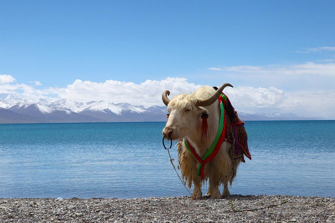8-Days Heavenly Himalayas- LEH-LADAKH - Accommodation Options