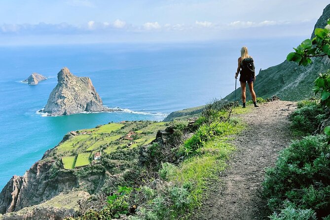 8 Days Hiking Tour in Tenerife 18-25 Dec and 17-24 Jan - Meeting Point Details
