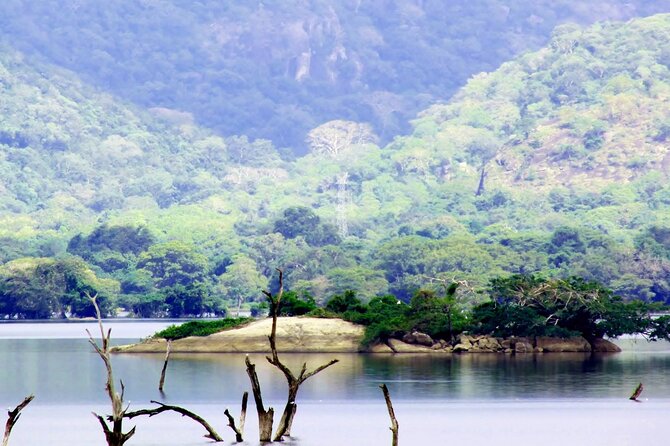 8 Days Hill Country and Coastal Tours in Sri Lanka - Overview of the Hill Country and Coastal Tours