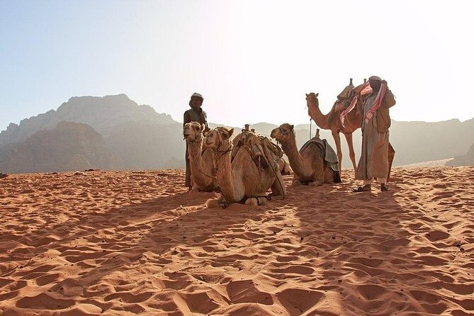 8 Days Jordan Tour: Petra, Wadi Rum, Aqaba - Frequently Asked Questions