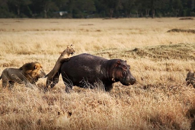 8 Days Kenya Lodge Safari Package. - Pricing and Cancellation Policy