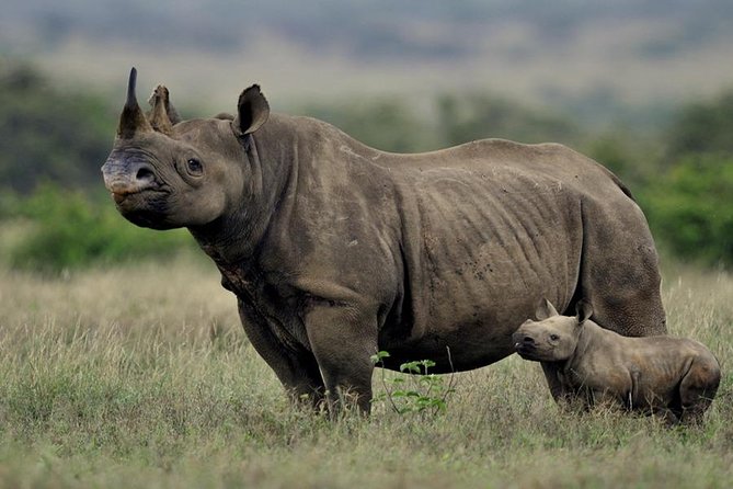 8 Days Kenya Photographic Safari - Packing Essentials