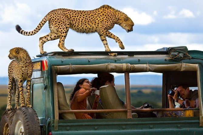 8 Days Kenya Photographic Safari - Booking Information