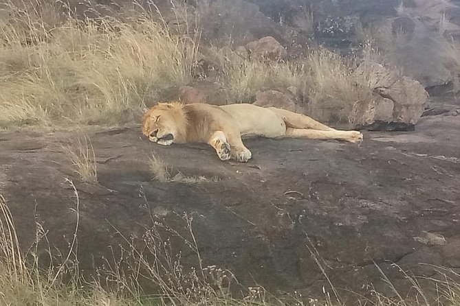 8 Days Kenya Tanzania Combined Holiday Safari Adventure - The Sum Up