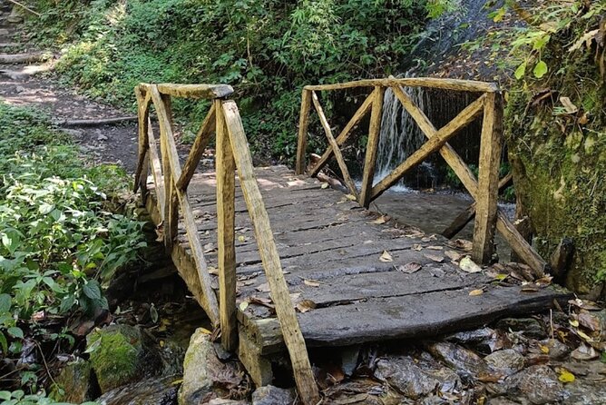 8 Days Langtang Valley Trek From Kathmandu - Accommodation: Tea Houses, Basic Facilities, Shared Dormitory-Style Rooms