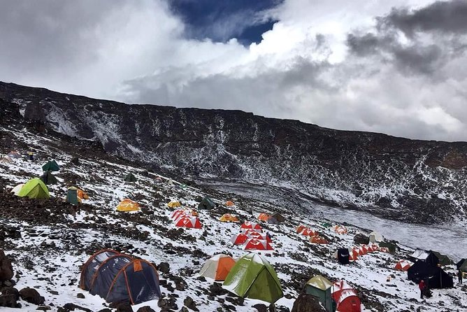 8 Days Lemosho Route Climbing - Itinerary Highlights