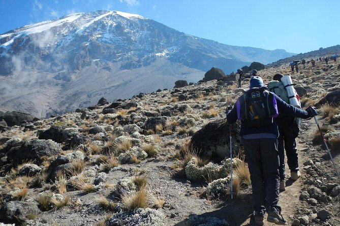 8 Days Lemosho Route Kilimanjaro Trekking - Good To Know