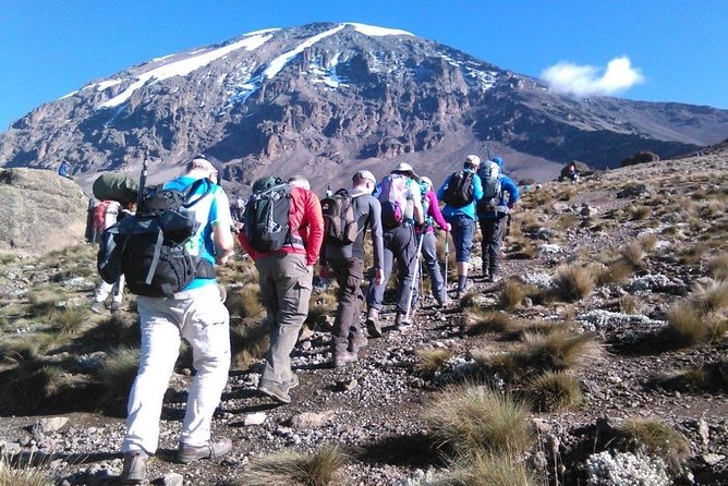 8 Days Lemosho Route Kilimanjaro Trekking - Day 1: Starting the Trek