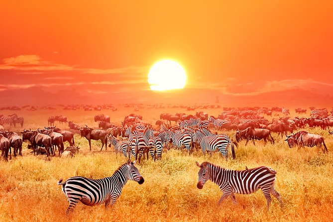 8 Days Luxury Safari Adventure(Serengeti) - Additional Information