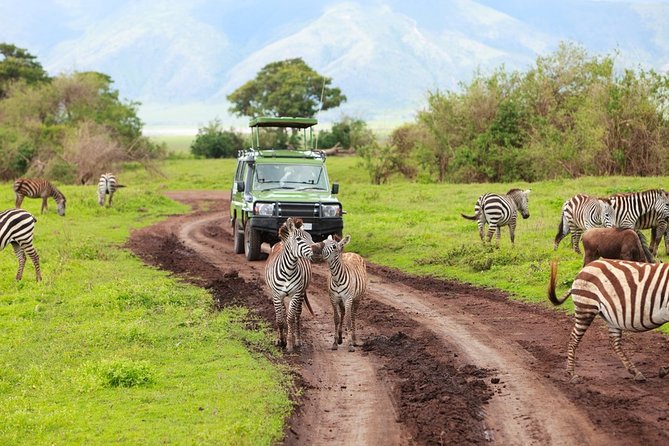 8 Days Luxury Safari Adventure(Serengeti) - Reviews and Ratings