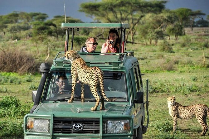 8 Days Masai Mara Wildebeest Migration Safari Adventures - Important Booking Information