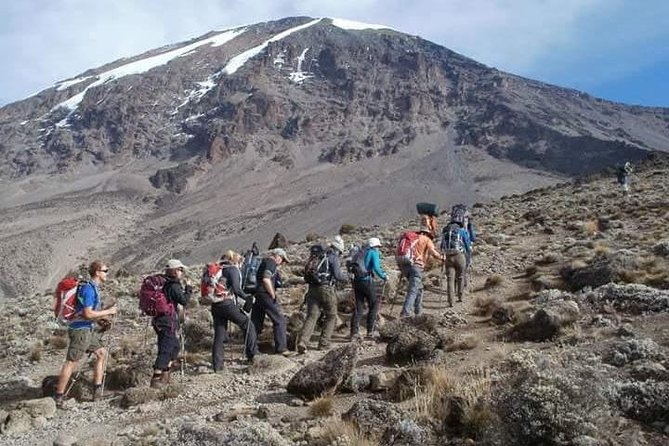 8 Days Mount Kilimanjaro Lemosho Route Climb - Route Overview