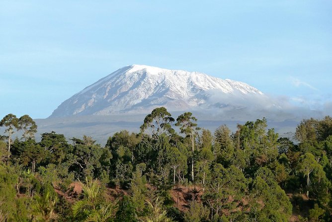 8 Days Mount Kilimanjaro Lemosho Route Climb - The Sum Up