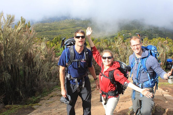 8 Days Mt Kilimanjaro Climb - Lemosho Route - Accessibility and Restrictions
