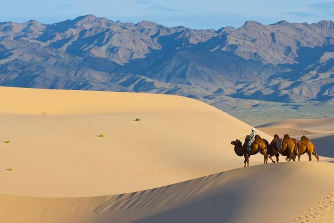 8 Days Naadam Festival and Gobi Desert - Gobi Desert Exploration