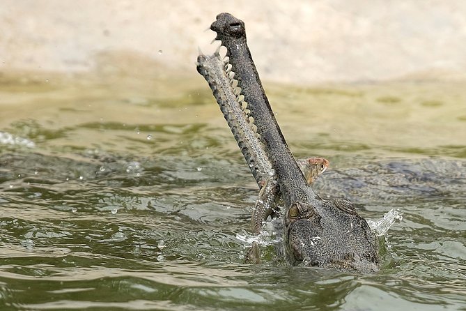 8 Days Nepal Tour (Kathmandu, Pokhara, and Chitwan Tour) - Kathmandu Valley Cultural Tour