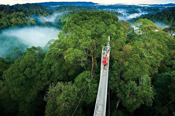 8 Days North Costa Rica Fun Family and Friends Trip - Itinerary Overview