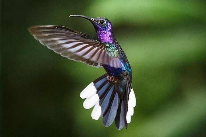 8 Days North Costa Rica Fun Family and Friends Trip - Transportation Logistics