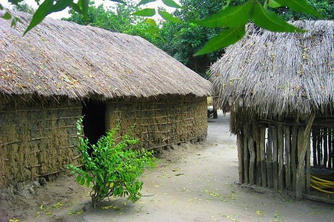 8 Days Northern Tanzania Safari - Day 2: Tarangire National Park