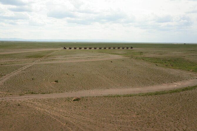 8 Days of Desert in Gobi Odyssey - FAQ