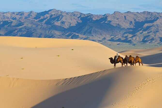 8 Days of Desert in Gobi Odyssey - FAQ