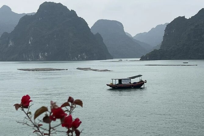 8 Days Package Tour in Vietnam - Included Activities