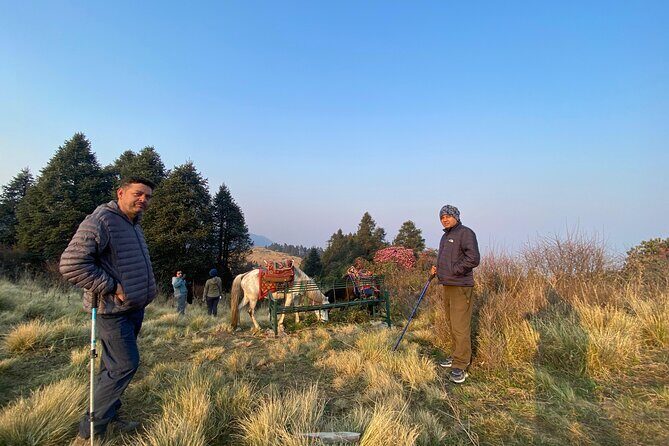 8 Days Poon Hill with Mardi Himal Base Camp Trek - The Trekkers Perspective: What to Expect