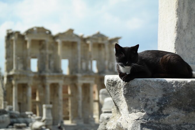 8 Days, Private Aegean Turkey Tour From Istanbul - Minimum Traveler Requirement