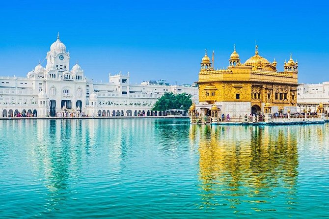 8 - Days Private Golden Triangle Tour With Amritsar - Transportation and Activities