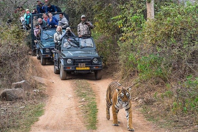 8 Days Private Golden Triangle Tour With Ranthambore Tiger Safari - Meeting and Pickup Details