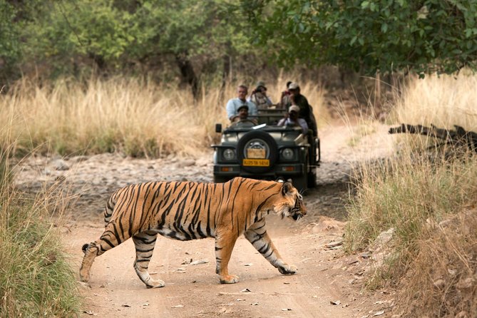 8 Days Private Golden Triangle Tour With Ranthambore Tiger Safari - Price and Special Offer